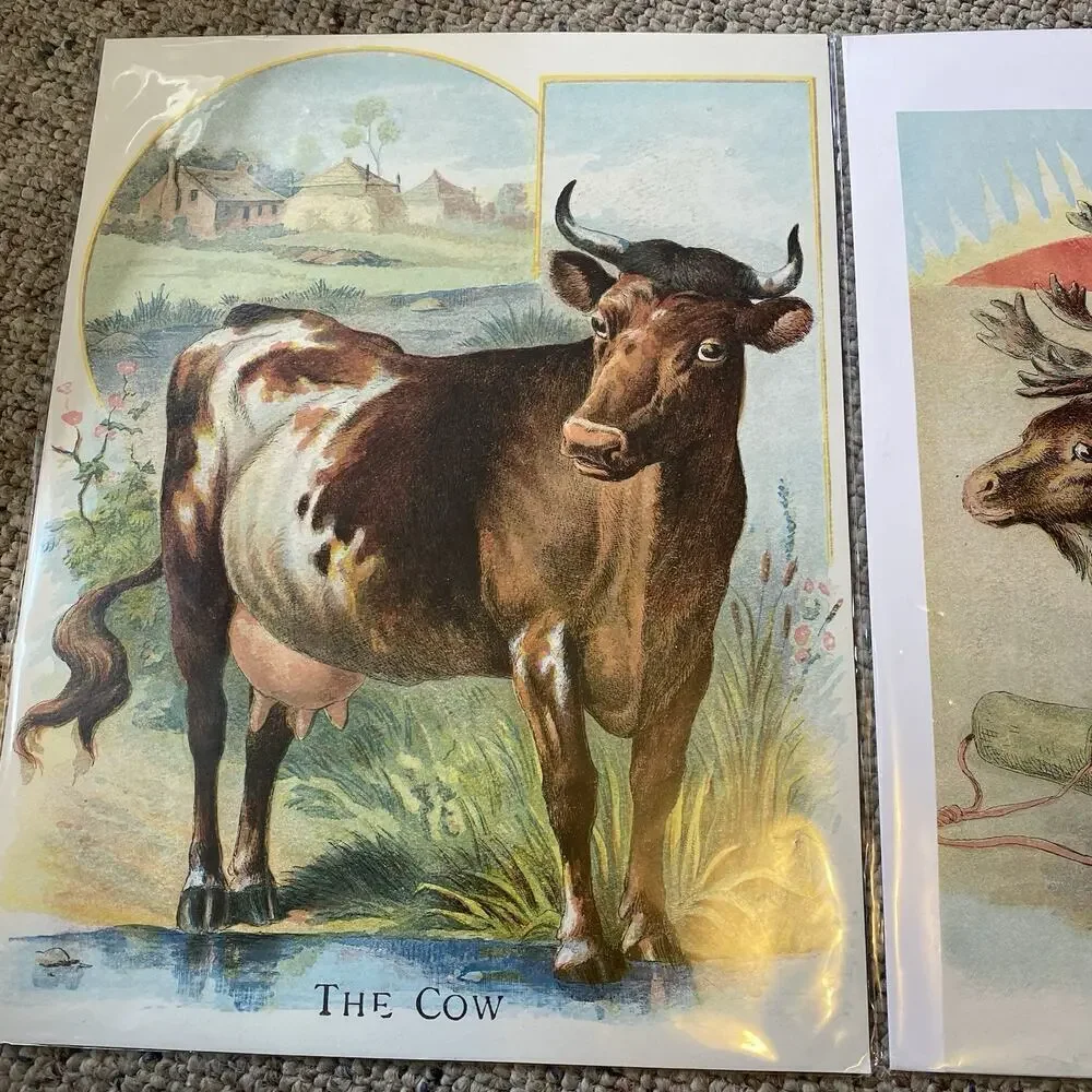 Lot of 2 Vintage Farm Animals Postcards Double Side Printed Cow Reindeer Horse